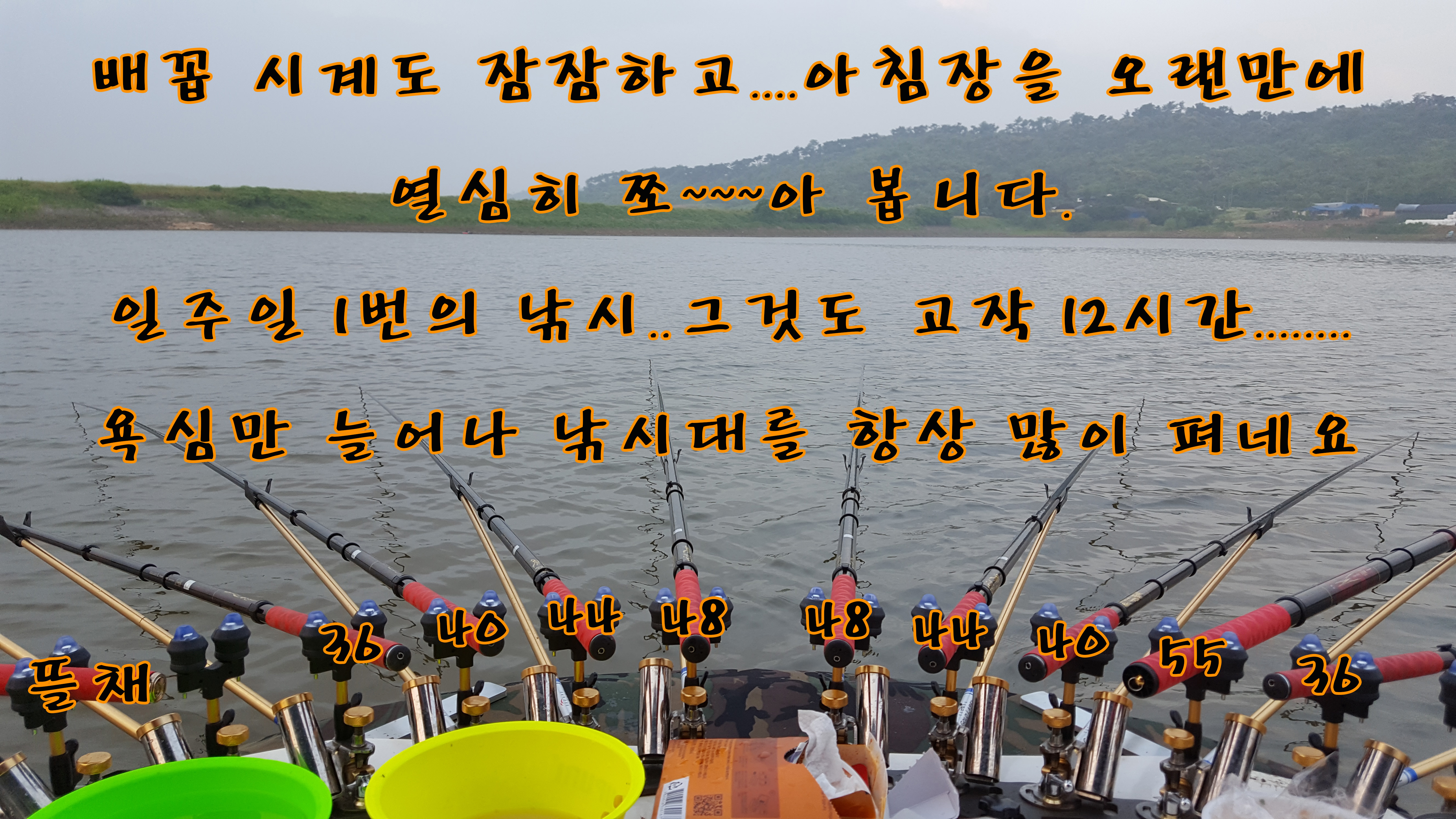 a82f7dfb39c842920e2439e06178bda8_1467617648_7741.jpg